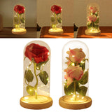 Maxbell Artificial Rose Flower with Glass Cover Decorative for Party Living Room