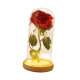 Maxbell Artificial Rose Flower with Glass Cover Decorative for Party Living Room