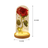 Maxbell Artificial Rose Flower with Glass Cover Decorative for Party Living Room