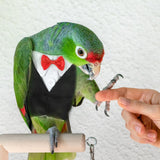 Maxbell Birds Clothes Budgie Anniversary Birthday Photo Prop Parrots Suit Uniform S 14x16x8cm
