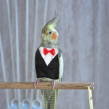 Maxbell Birds Clothes Budgie Anniversary Birthday Photo Prop Parrots Suit Uniform M 16x19x9cm