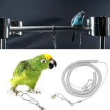 Maxbell Bird Harness Foot Chain Leash Kit Pet Durable Anti-Off for Outdoor Training 6.5MM+6M
