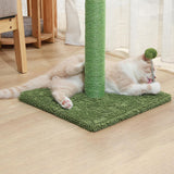 Maxbell Cat Scratching Post Training Bite Resistant for Pets Supplies Kittens