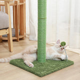 Maxbell Cat Scratching Post Training Bite Resistant for Pets Supplies Kittens