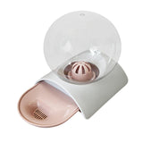 Maxbell Cat Dog Water Dispenser Pet Feeder Drink Capacity Detachable Puppy Pink