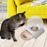 Maxbell Cat Dog Water Dispenser Pet Feeder Drink Capacity Detachable Puppy Pink
