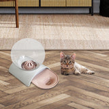Maxbell Cat Dog Water Dispenser Pet Feeder Drink Capacity Detachable Puppy Pink