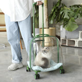 Maxbell Pet Trolley Case Multifunctional Lightweight Short Trips Dog Carrying Fully Transparent