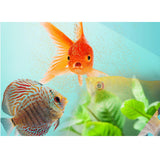 Maxbell Automatic Fish Feeder App Control Food Feeding for Everyday Outdoor