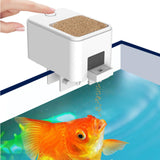 Maxbell Automatic Fish Feeder App Control Food Feeding for Everyday Outdoor
