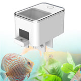 Maxbell Automatic Fish Feeder App Control Food Feeding for Everyday Outdoor