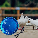 Maxbell Poultry Water Heated Base Constant Temperature Plate for Pet Winter Chicken