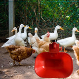 Maxbell Automatic Chicken Water Cup Poultry Drinking Bowl Drinker Bowl for Bird