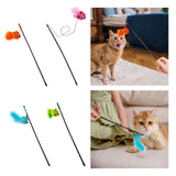 Maxbell Cat Teaser Wand Toy Playing Dog Training Puppy Interactive Cat Feather Toys Orange