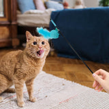 Maxbell Cat Teaser Wand Toy Playing Dog Training Puppy Interactive Cat Feather Toys Blue