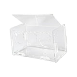 Maxbell Bird Chicken Feeder Feeding Equipment Food Dispenser for Small Medium Birds