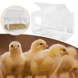 Maxbell Bird Chicken Feeder Feeding Equipment Food Dispenser for Small Medium Birds