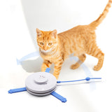 Maxbell 2 in 1 Electric Cat Toys Indoor Interactive Cat Toy for Cat Kitty Kitten Blue