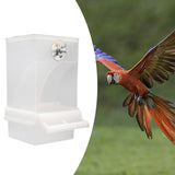 Maxbell Automatic Bird Feeder Parrot Hanging for Small to Medium Birds Canary Budgie