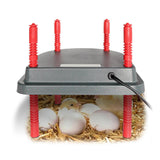 Maxbell Chick Brooder Heating Plate Warms up to 15 Chicks for Chicks or Ducklings