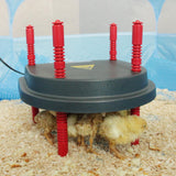 Maxbell Chick Brooder Heating Plate Warms up to 15 Chicks for Chicks or Ducklings