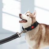 Maxbell Adjustable Dog Traction Rope Jogging Cats Outdoor Small Medium Large Dogs S