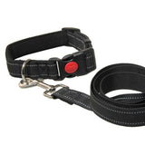 Maxbell Adjustable Dog Traction Rope Jogging Cats Outdoor Small Medium Large Dogs M