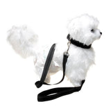 Maxbell Adjustable Dog Traction Rope Jogging Cats Outdoor Small Medium Large Dogs M