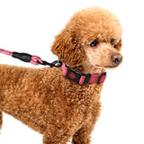 Maxbell Adjustable Dog Traction Rope Jogging Cats Outdoor Small Medium Large Dogs  S upgrade