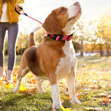 Maxbell Adjustable Dog Traction Rope Jogging Cats Outdoor Small Medium Large Dogs M upgrade