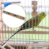 Maxbell Bird Stand Toys Platform for Small Medium Parrot Paw Grinding Stick medium