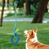 Maxbell Chew Toys Yard Running Puppy Garden Dogs Rope Toy Interactive Dog Tug Toy Blue