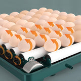 Maxbell Egg Incubator Automatic Chick Incubator LED Display for Goose Chicken 6 Eggs