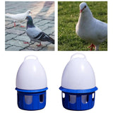 Maxbell Pigeon Waterer Drinker Feeder Automatic Bird Water Dispenser for Parrot Dove 6L D 19cm H 35CM