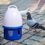 Maxbell Pigeon Waterer Drinker Feeder Automatic Bird Water Dispenser for Parrot Dove 6L D 19cm H 35CM
