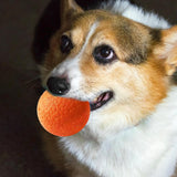 Maxbell Interactive Dog Toys Ball Throwing to Fetch and Play Park Dog Chew Toys Orange 2.5inch