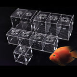Maxbell Fish Breeding Box Fish Incubator for Baby Baby Fishes