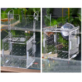 Maxbell Fish Breeding Box Fish Incubator for Baby Baby Fishes