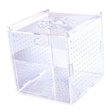 Maxbell Fish Breeding Box Fish Incubator for Baby Baby Fishes