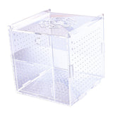 Maxbell Fish Breeding Box Fish Incubator for Baby Baby Fishes