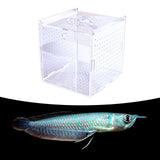 Maxbell Fish Breeding Box Fish Incubator for Baby Baby Fishes