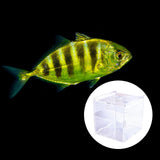 Maxbell Fish Breeding Box Fish Incubator for Baby Baby Fishes
