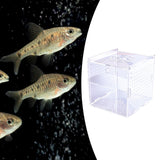 Maxbell Fish Breeding Box Fish Incubator for Baby Baby Fishes