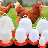 Maxbell Automatic Poultry Drinker Waterer Water Container for Backyard Accessories 10L