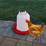 Maxbell Automatic Poultry Drinker Waterer Water Container for Backyard Accessories 10L