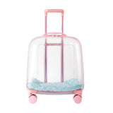 Maxbell Transparent Cat Trolley Case Dog Hiking Crate Small Animals Pet Carrier