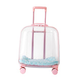 Maxbell Transparent Cat Trolley Case Dog Hiking Crate Small Animals Pet Carrier