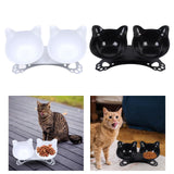 Maxbell Elevated Cat Double Bowls Raised Pet Water Food Feeder Feeding Dishes Tilted Black