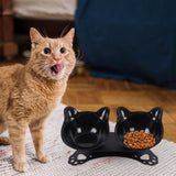 Maxbell Elevated Cat Double Bowls Raised Pet Water Food Feeder Feeding Dishes Tilted Black