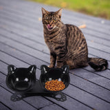 Maxbell Elevated Cat Double Bowls Raised Pet Water Food Feeder Feeding Dishes Tilted Black